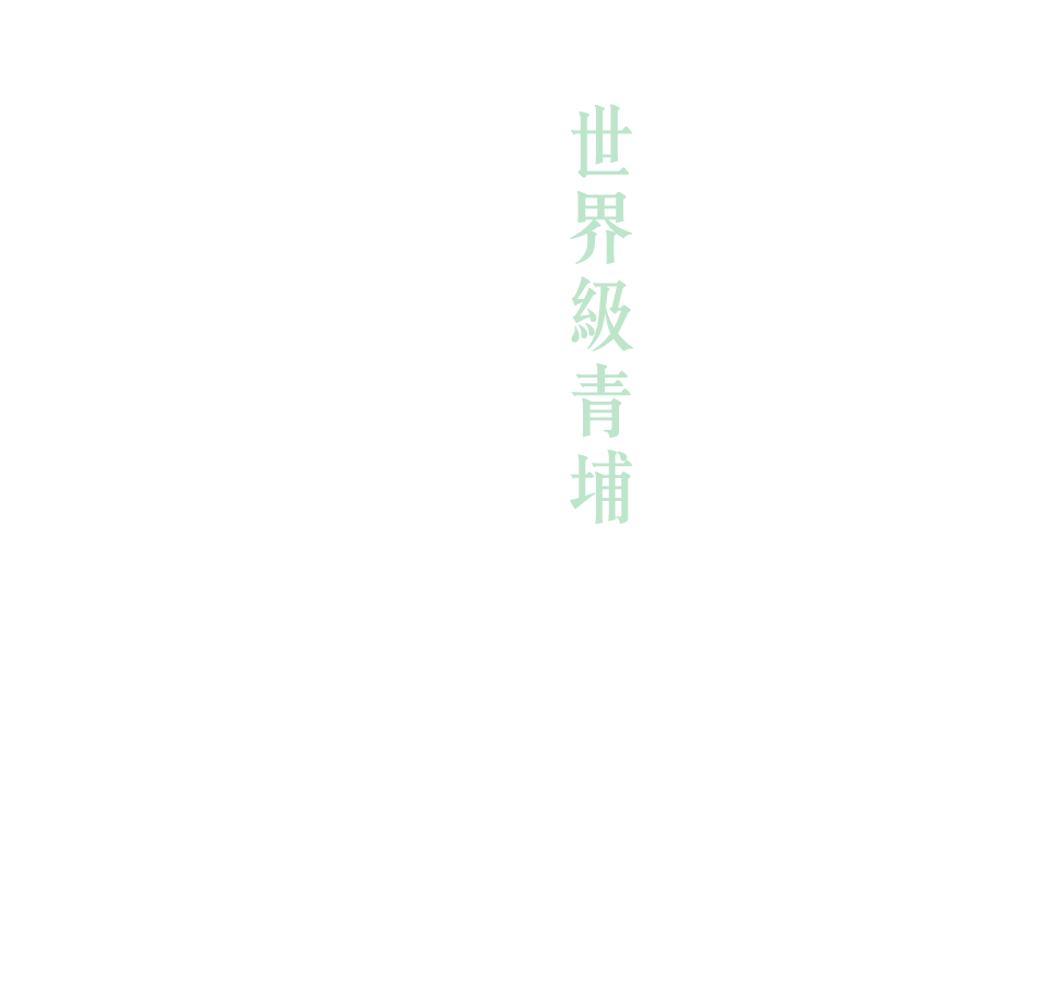 世界級青埔國家級建設